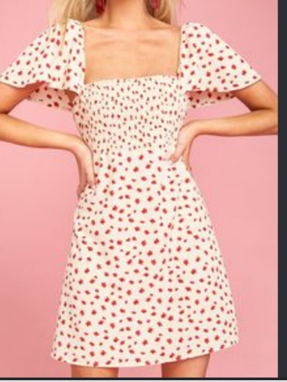 Showe Your Mumu Breanna Dress Cream Smocked Square Neck Mini Red Floral Medium